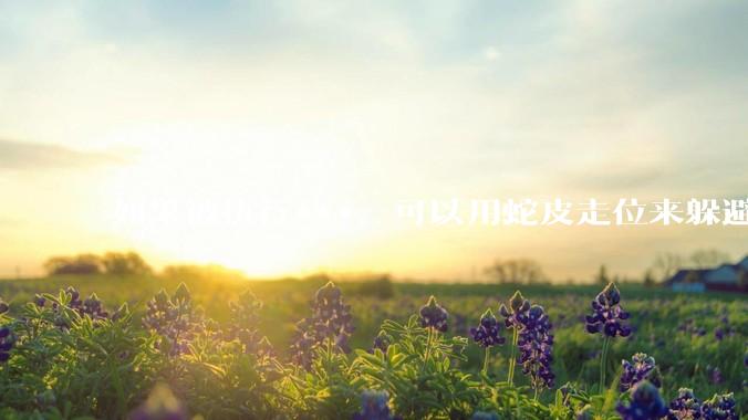 如果被执行***，可以用蛇皮走位来躲避吗？